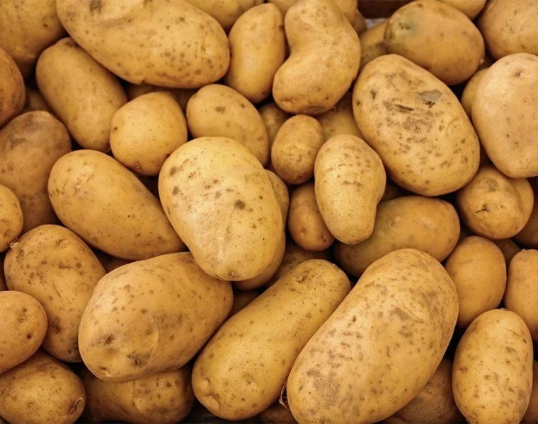 La Patata del Fucino IGP