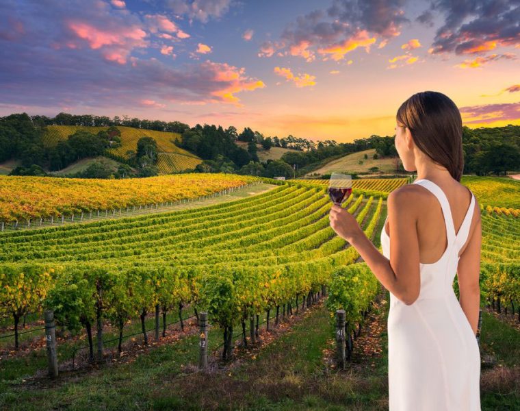 La storia del vino abruzzese