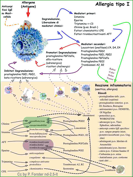 Gestione efficace delle allergie