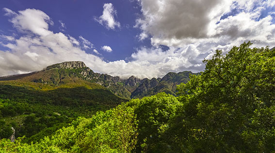 Le Meraviglie del Parco Nazionale Abruzzo