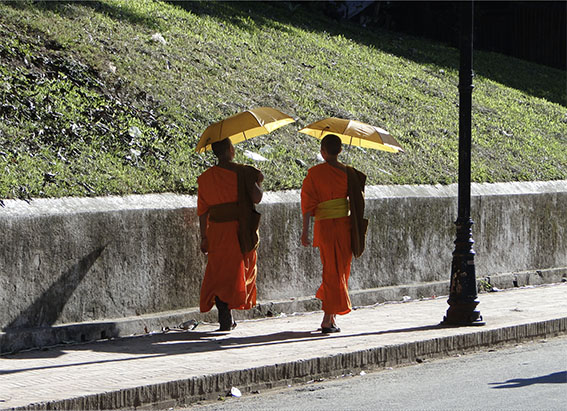 Avventura in Laos: Emozionante Trekking 