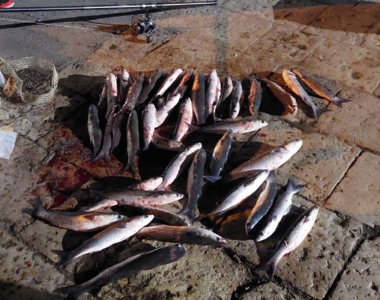 Bracconaggio ittico Fiume Pescara