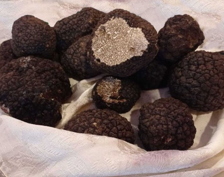 Fiera Tartufo d'Abruzzo 2024