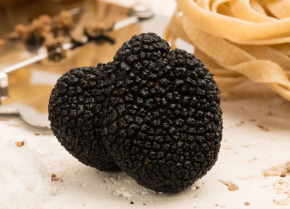 Fiera Tartufo d'Abruzzo 2024