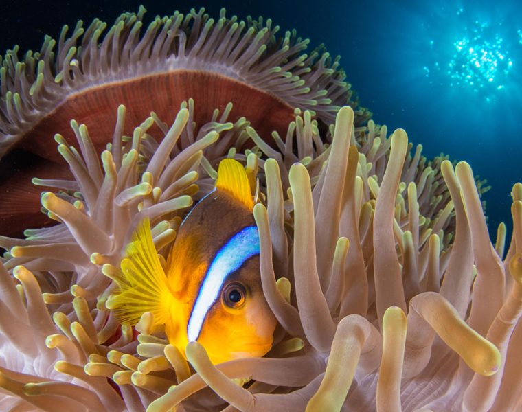 Il Concorso Fotografico MyShot