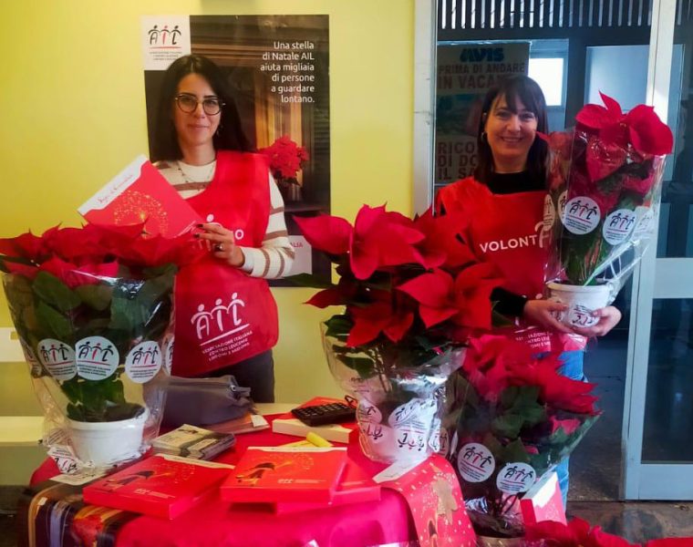 AIL Stelle di Natale