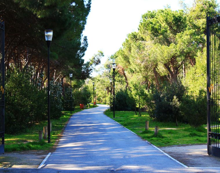 Pescara e Associazione Plastic Free
