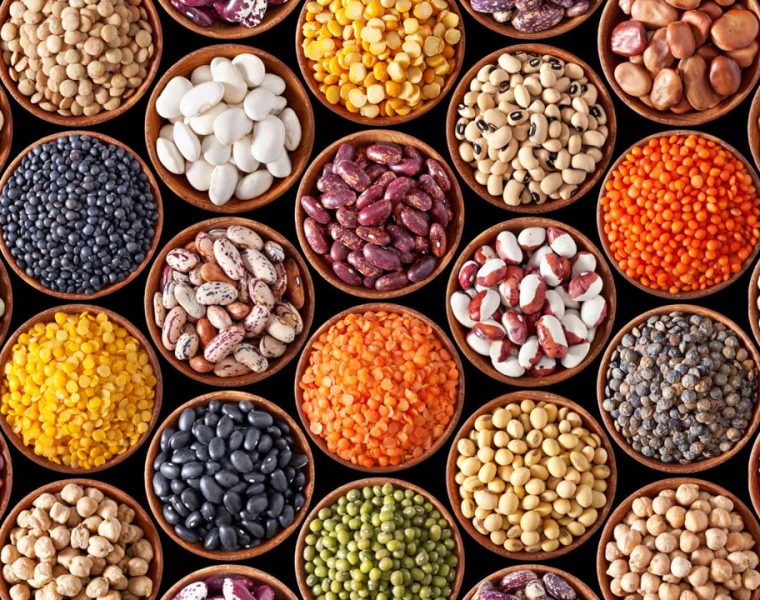Proteine alternative: +960% di brevetti
