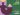 Il Progetto UNIST-HEALTH