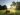 Dandelion Concerti Sostenibili